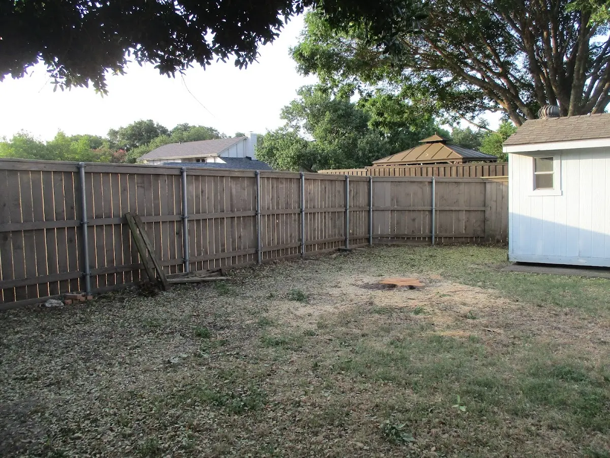 Cleared yard after professional tree removal in Henry